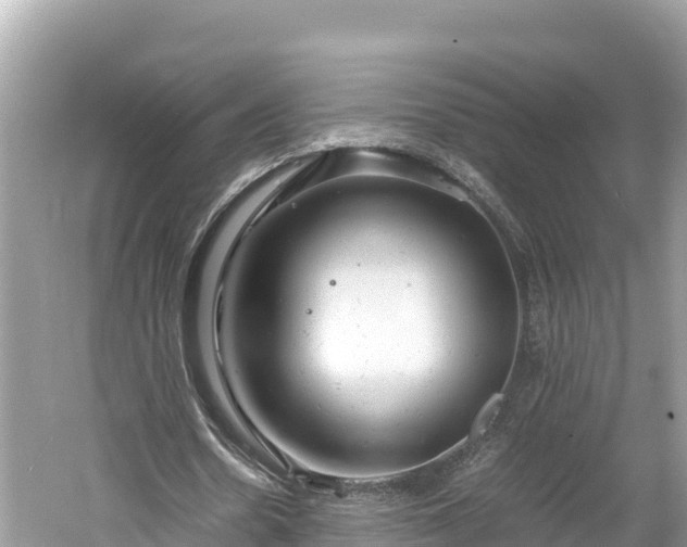 X0000061120530200511211003