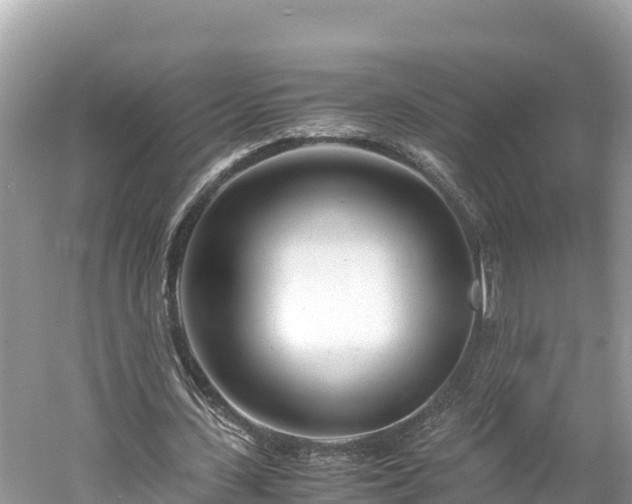 X0000061120531200511211003