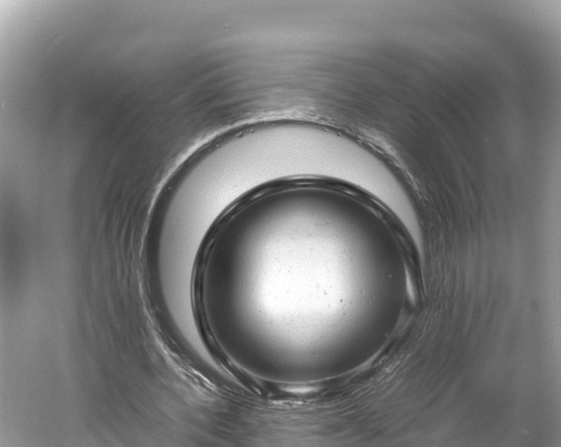 X0000061120532200511211003