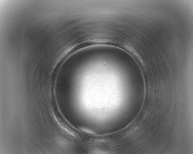 X0000061120533200511211003