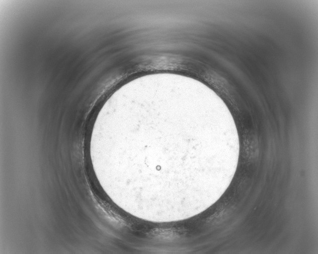 X0000061120534200511211003