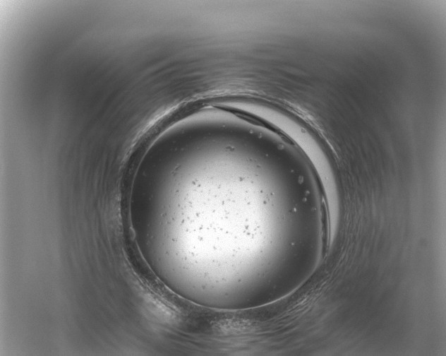 X0000061120535200511211003