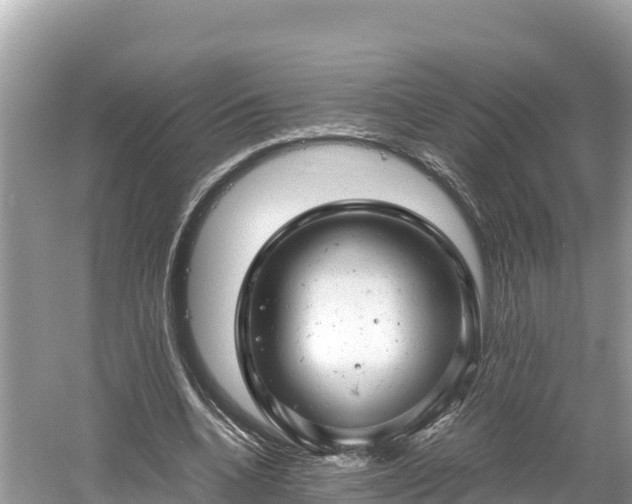 X0000061120536200511211003