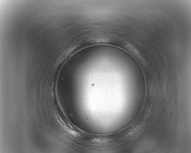 X0000061120537200511211003