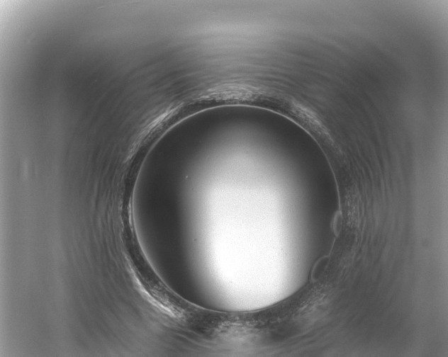 X0000061120538200511211003