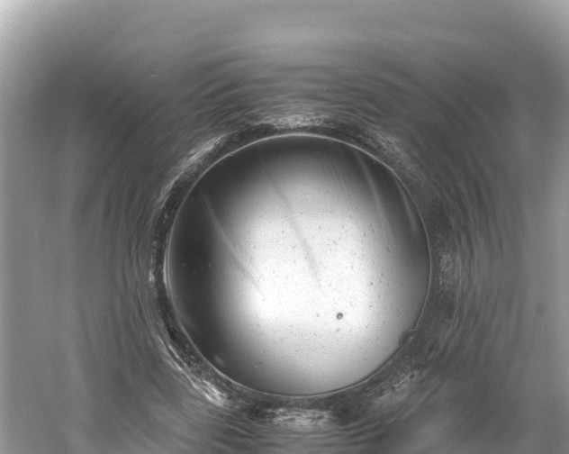 X0000061120539200511211003