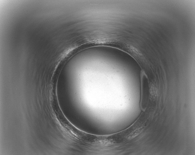 X0000061120540200511211003