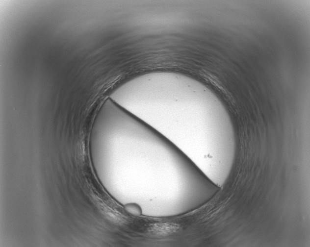 X0000061120541200511211003