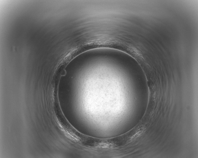 X0000061120542200511211003