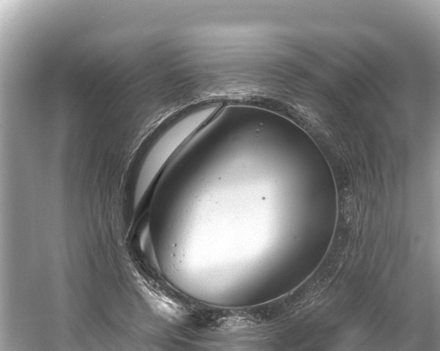 X0000061120544200511211003