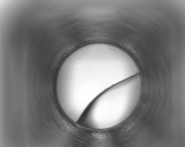 X0000061120545200511211003