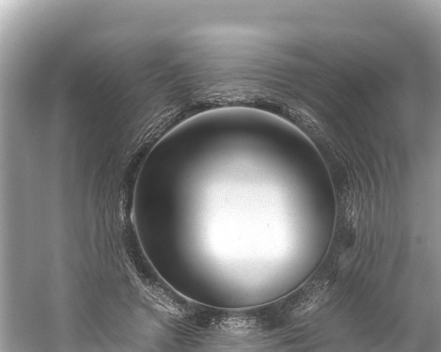 X0000061120546200511211003