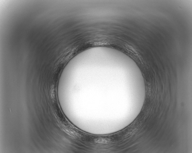 X0000061120549200511211003