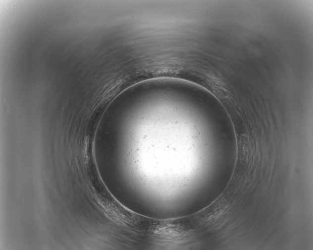 X0000061120550200511211003