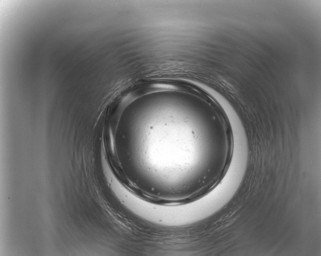 X0000061120552200511211003