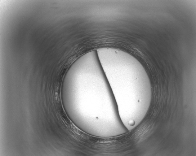 X0000061120553200511211003