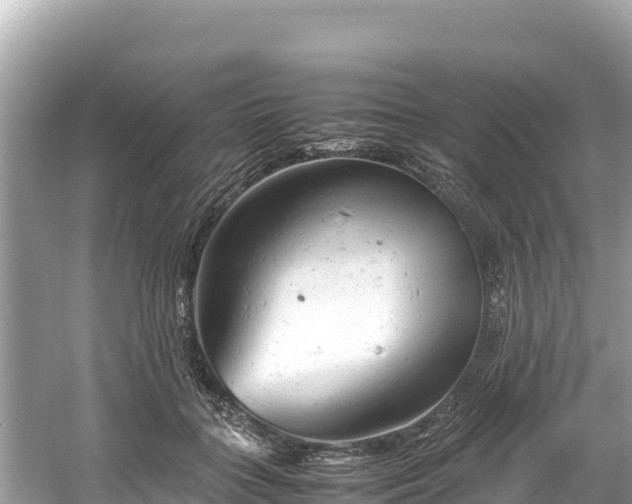 X0000061120555200511211003