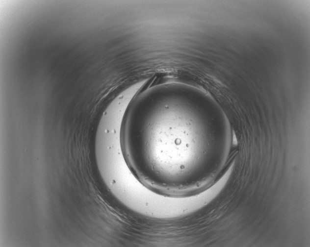 X0000061120556200511211003