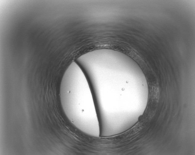 X0000061120557200511211003