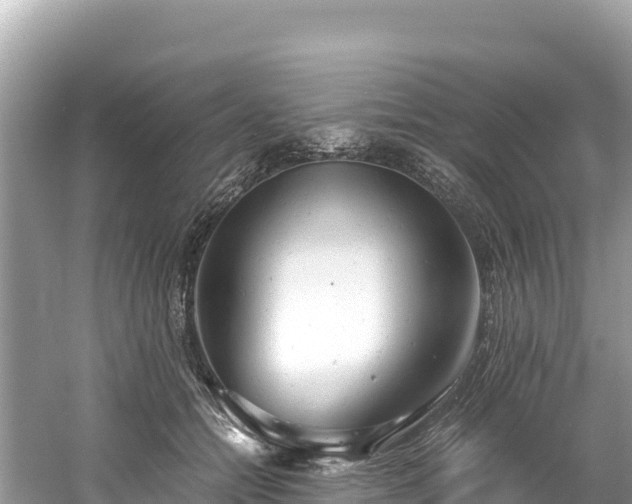 X0000061120558200511211003