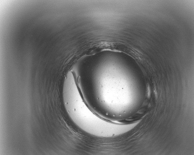 X0000061120560200511211003