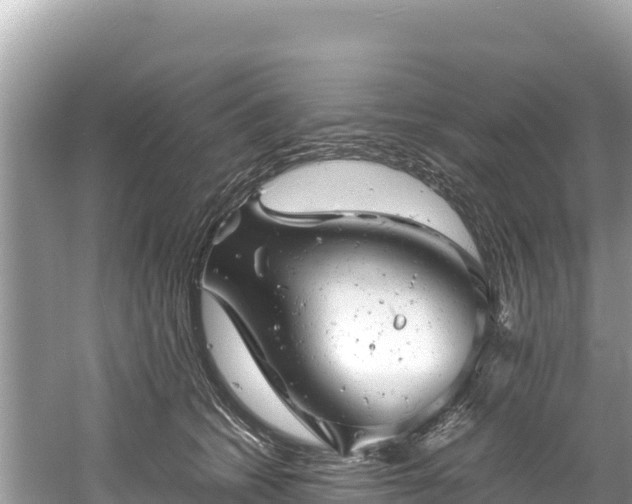 X0000061120562200511211003