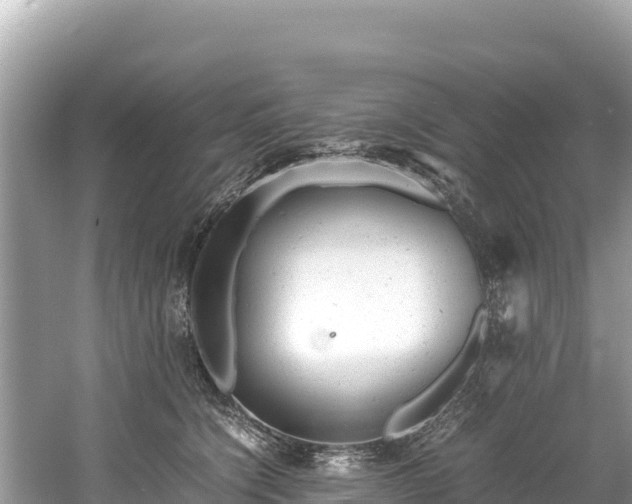 X0000061120564200511211004