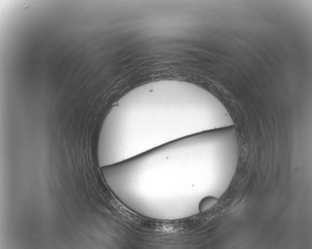 X0000061120565200511211004