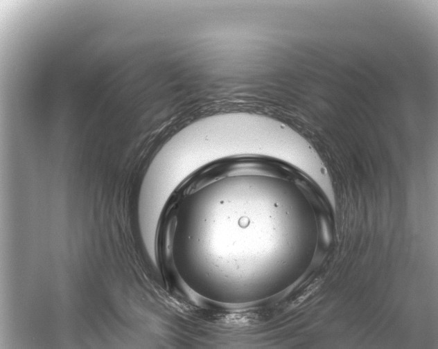 X0000061120566200511211004