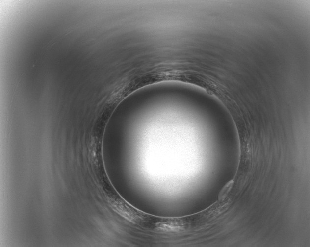 X0000061120567200511211004