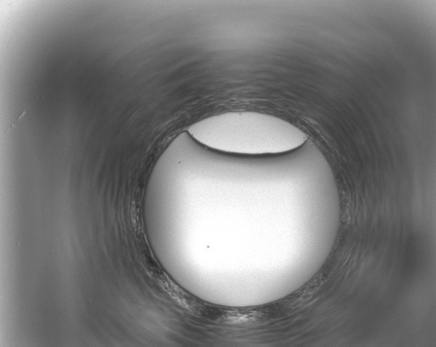 X0000061120569200511211004