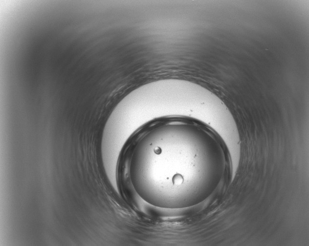 X0000061120570200511211004