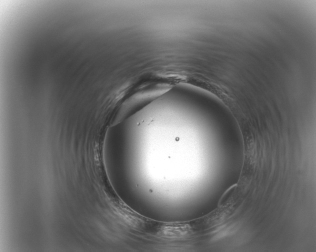 X0000061120571200511211004