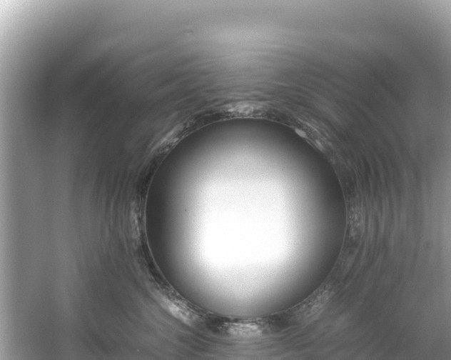 X0000061120572200511211004