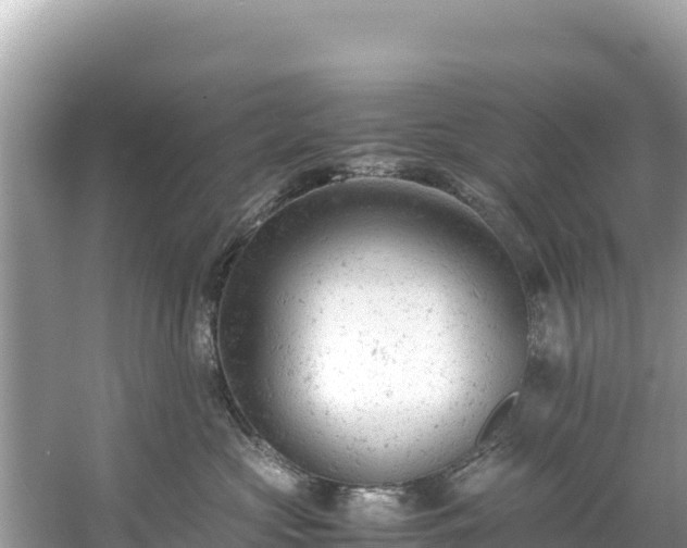 X0000061120573200511211004