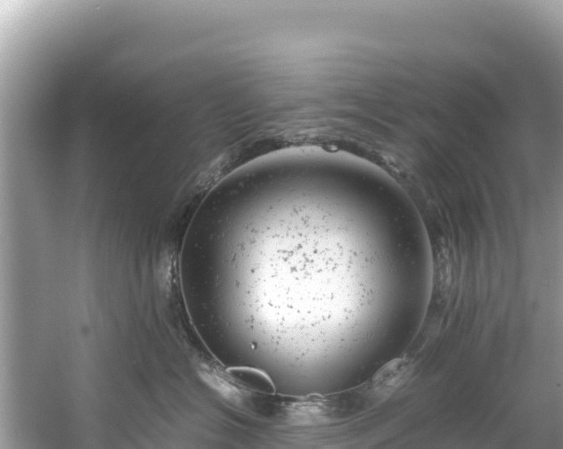 X0000061120574200511211004