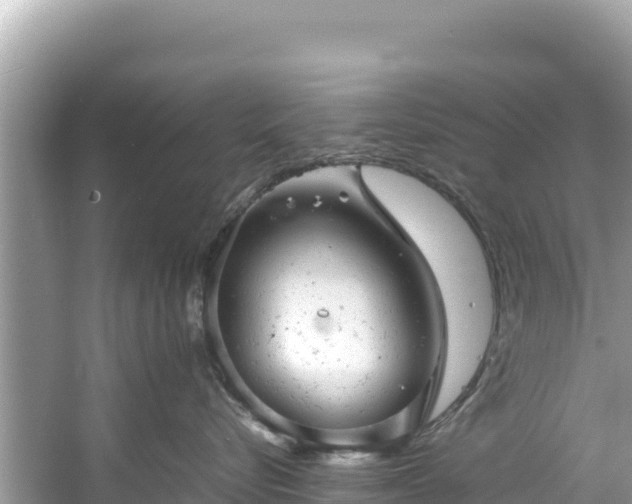 X0000061120576200511211004