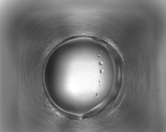 X0000061120577200511211003