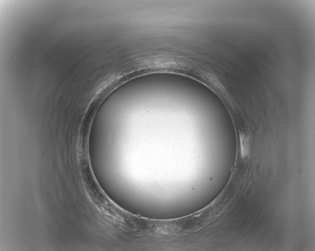 X0000061120579200511211003