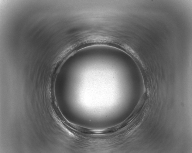 X0000061120581200511211003