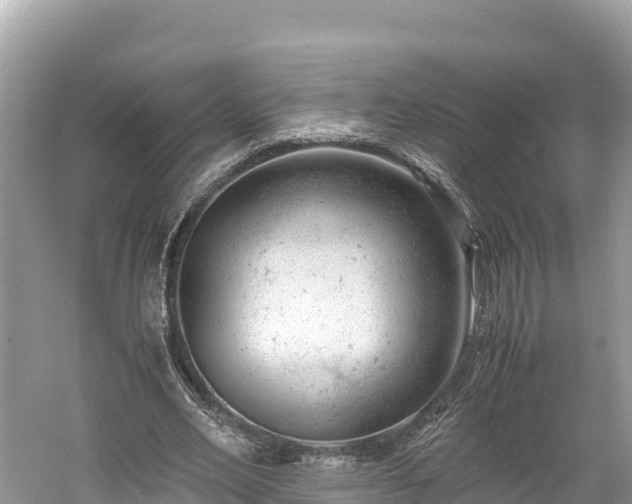 X0000061120582200511211003