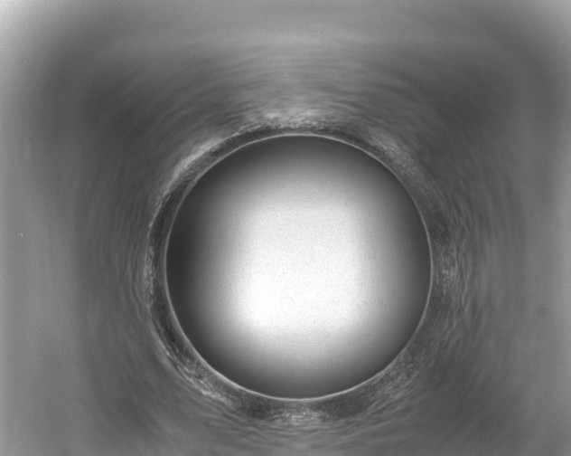 X0000061120583200511211003