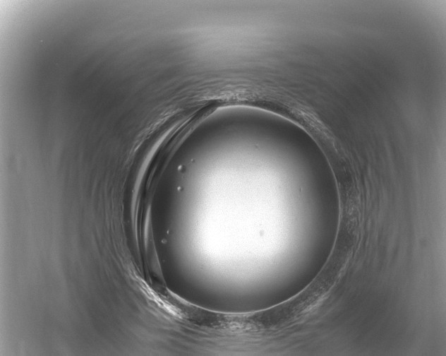 X0000061120585200511211003