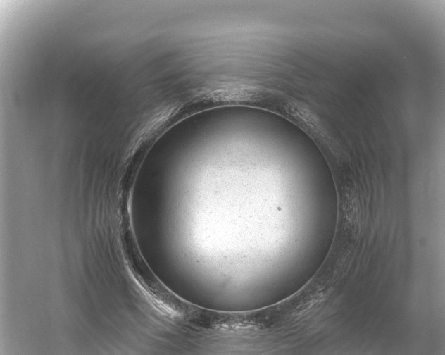 X0000061120586200511211003