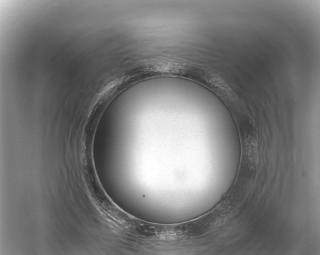 X0000061120587200511211003