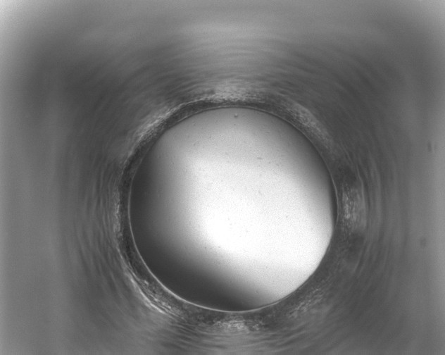 X0000061120588200511211003