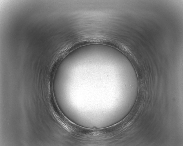 X0000061120589200511211003