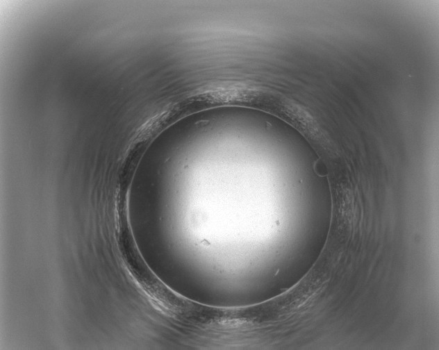 X0000061120590200511211003