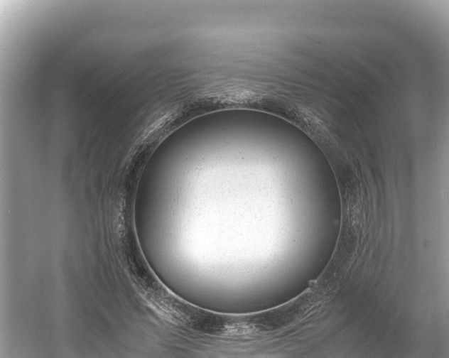 X0000061120591200511211003