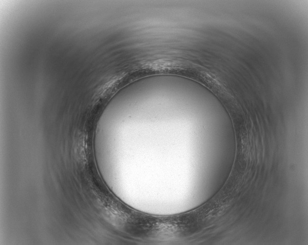 X0000061120592200511211003